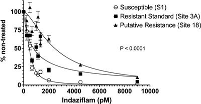 A bioassay to determine Poa annua responses to indaziflam